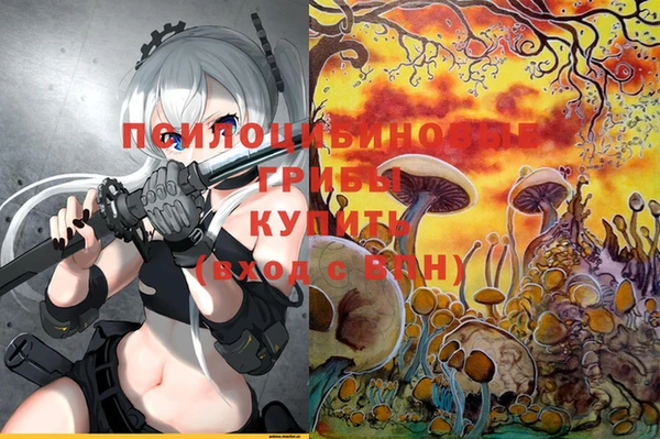 дмт Абинск