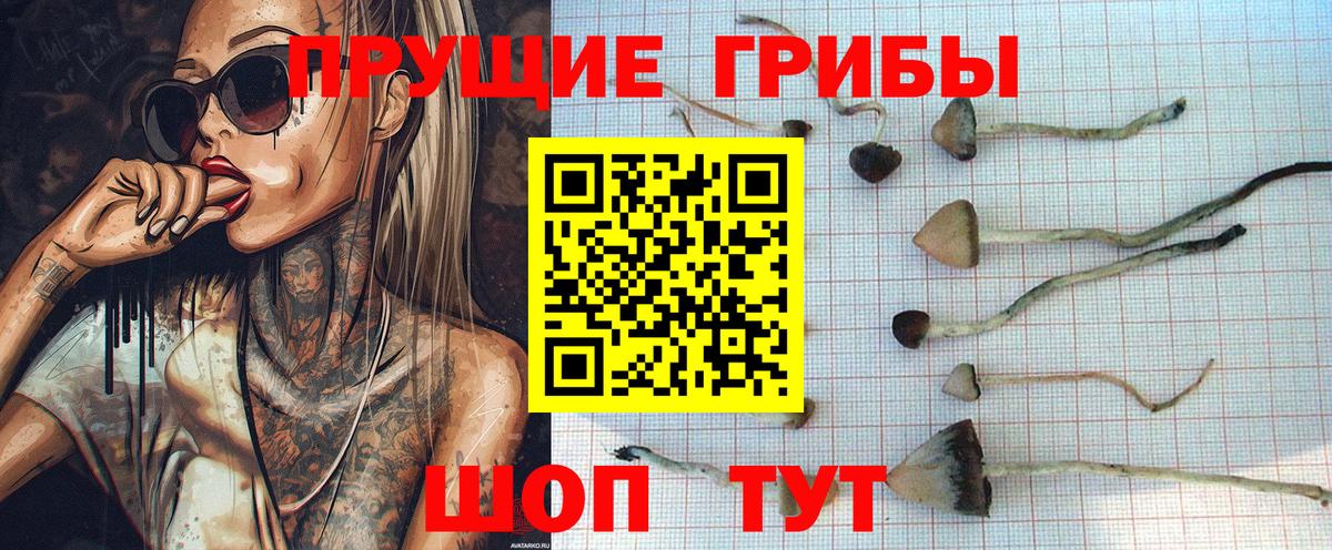 Шатура  Псилоцибиновые грибы Magic Shrooms  Вход с VPN 
